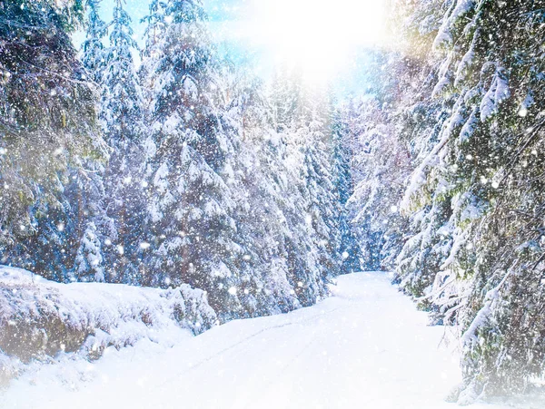 Winterlandschap met besneeuwd bos, weg en zon. Rhodope Mountains, Bulgarije — Stockfoto