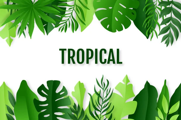 Зеленые Тропические Листья Рамки Летний Фон Стиль Покроя Бумаги Векторная — стоковый вектор