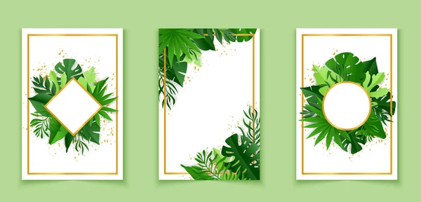 Pancartas Botánicas Con Hojas Tropicales Ilustración Vectorial — Vector de stock