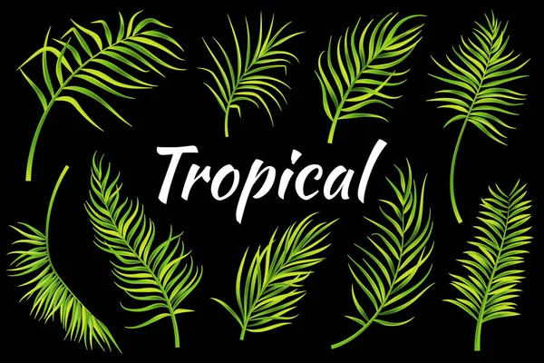 Тропические Листья Готовы Векторная Иллюстрация — стоковый вектор