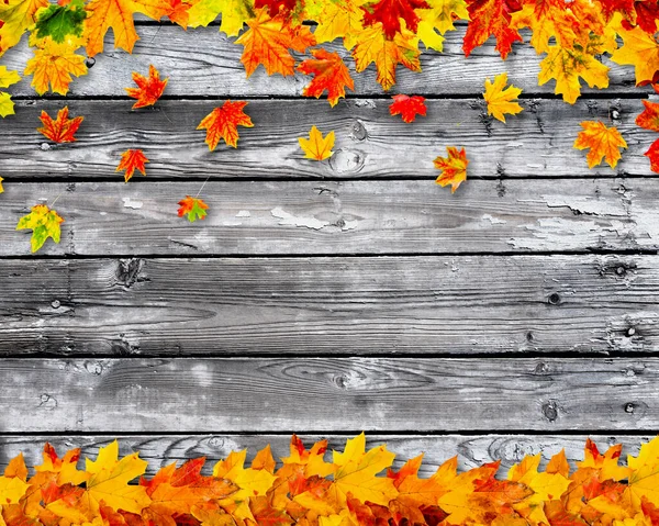 Coloridas Hojas Otoño Sobre Fondo Madera — Foto de Stock