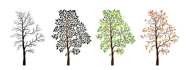 Baum Jahreszeiten Natur Hintergrund Vektorillustration — Stockvektor