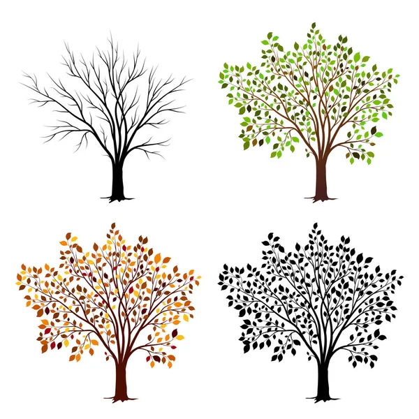 Cuatro Estaciones Árbol Ilustración Vectorial — Archivo Imágenes Vectoriales