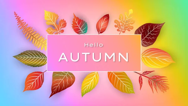 Colorful Autumn Leaves Frame Vector Illustration — Stock Vector