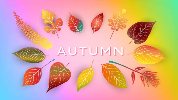 明るい秋の葉と秋の背景 ベクターイラスト — ストックベクタ