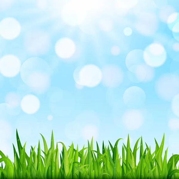 Frühling Oder Sommer Natur Hintergrund Mit Grünem Gras Blauem Himmel — Stockvektor