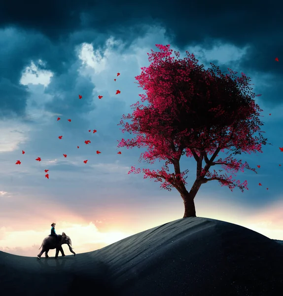 Explorer riding a elephant in the desert and discovers a red tree.