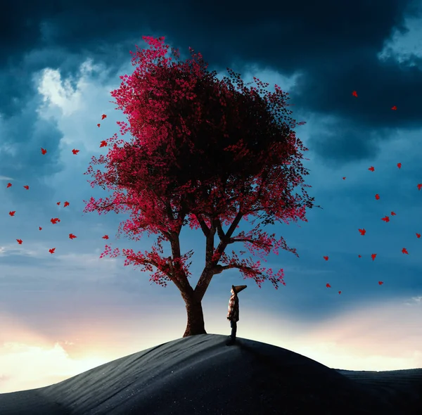 Çölde kırmızı bir ağaca bakarken çocuk.