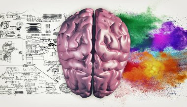 Right and left hemisphere of the brain . Creative half and logical half of human mind. clipart
