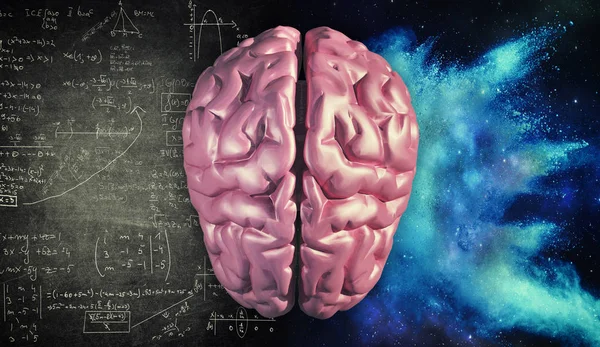 脳の右と左半球 創造的な半分人間の心の論理の半分 — ストック写真