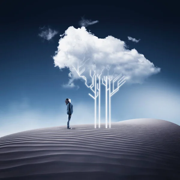 Leiterplattenbaum in der Wüste — Stockfoto