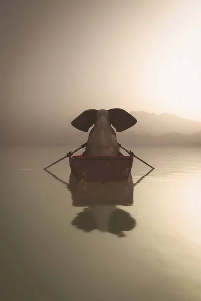 Nebbia lago barca elefante — Foto Stock