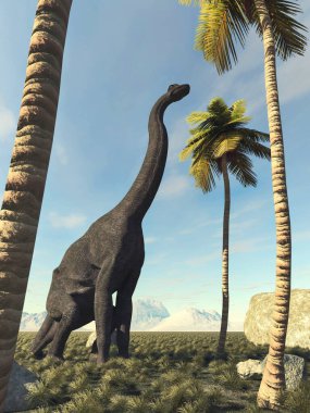 Ormandaki Brachiosaurus palmiye ağacına bakıyor. Bu 3 boyutlu bir çizim..