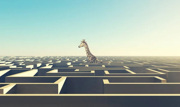 Labirentin Üstündeki Zürafa Zor Sorunların Üstesinden Gel Boyutlu Bir Çizim — Stok fotoğraf