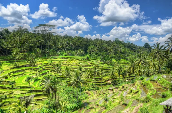 Ubud Paleis Bali Indonesi — Stockfoto