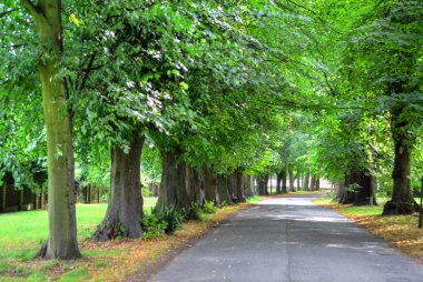 Wollaton park Nottingham Nottingham, Birleşik Krallık, İngiltere