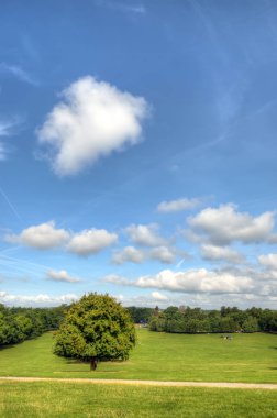 Wollaton park Nottingham Nottingham, Birleşik Krallık, İngiltere