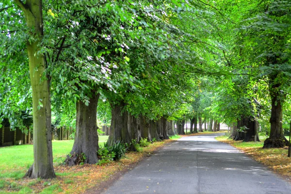 Wollaton Park Nottingham Nottingham England Stock Picture