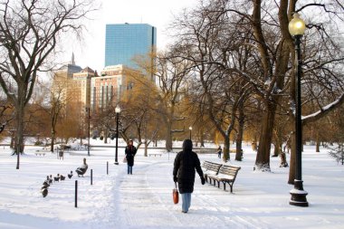 Boston, Massachusetts, ABD 'de kar yağışının stok görüntüsü