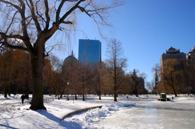 Boston, Massachusetts, ABD 'de kar yağışının stok görüntüsü