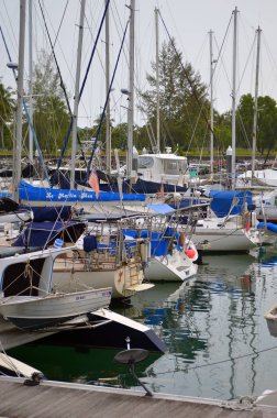 Langkawi 99 tropik adalara yarımada Malezya kuzeybatı kıyıları yatan bir grup oluşur.