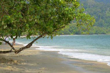 Langkawi 99 tropik adalara yarımada Malezya kuzeybatı kıyıları yatan bir grup oluşur.