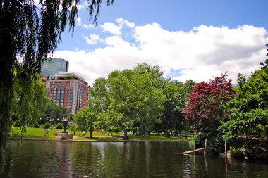Sonbaharda yapraklar Boston Public Garden'da stok görüntü