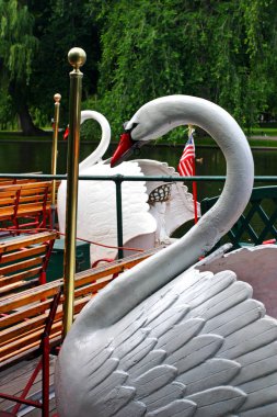 Sonbaharda yapraklar Boston Public Garden'da stok görüntü