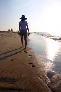 Cape Cod bir kol şeklindeki Yarımadası Barnstable County, Massachusetts ve Kuzeydoğu Amerika Birleşik Devletleri'nde Massachusetts devlet en doğudaki bölümünü şekillendirme ile neredeyse coextensive olduğunu.