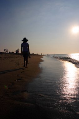 Cape Cod bir kol şeklindeki Yarımadası Barnstable County, Massachusetts ve Kuzeydoğu Amerika Birleşik Devletleri'nde Massachusetts devlet en doğudaki bölümünü şekillendirme ile neredeyse coextensive olduğunu.