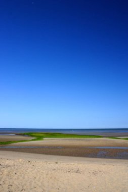 Cape Cod bir kol şeklindeki Yarımadası Barnstable County, Massachusetts ve Kuzeydoğu Amerika Birleşik Devletleri'nde Massachusetts devlet en doğudaki bölümünü şekillendirme ile neredeyse coextensive olduğunu.