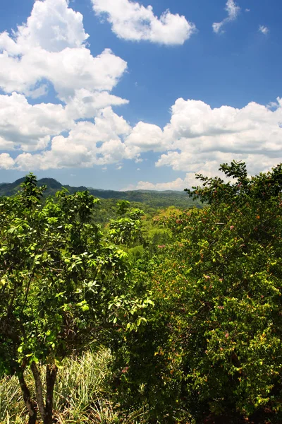 Croydon Plantation Una Plantación Trabajo Situada Las Estribaciones Las Montañas — Foto de Stock