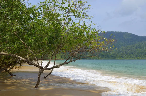 Langkawi Comprende Grupo Islas Tropicales Situadas Frente Costa Noroeste Malasia —  Fotos de Stock