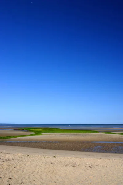 Cape Cod Egy Kar Alakú Félsziget Majdnem Egybeesik Barnstable Megye — Stock Fotó