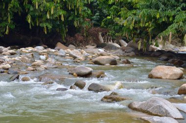 Janda Baik Bentong Pahang, Malezya küçük bir köydür