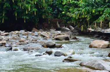 Janda Baik Bentong Pahang, Malezya küçük bir köydür