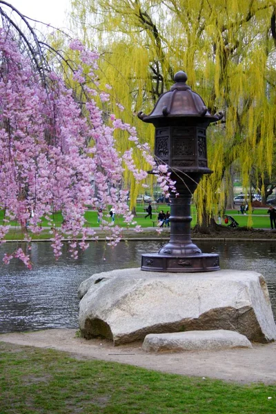 Boston Common Public Garden États Unis — Photo