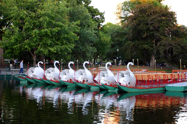 Boston Common Public Garden Eua — Fotografia de Stock