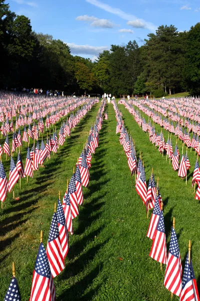 Campo Banderas Americanas — Foto de Stock