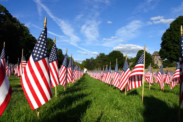 Campo Banderas Americanas — Foto de Stock