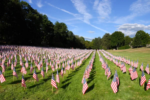 Campo Banderas Americanas — Foto de Stock