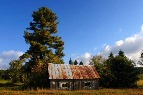 Őszi Lombozat Vermont Amerikai Egyesült Államok — Stock Fotó