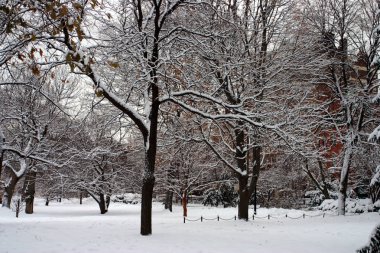 Boston, Massachusetts, ABD 'de kar yağışının stok görüntüsü
