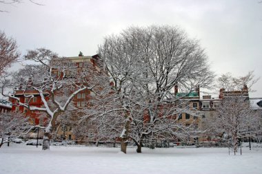 Boston, Massachusetts, ABD 'de kar yağışının stok görüntüsü