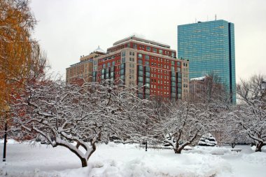 Boston, Massachusetts, ABD 'de kar yağışının stok görüntüsü