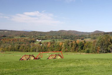 Sonbaharda yapraklar, Vermont, ABD