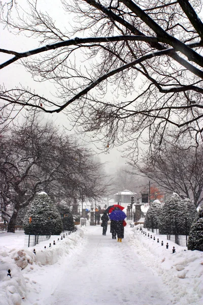 Imagem Estoque Inverno Nevando Boston Massachusetts Eua — Fotografia de Stock