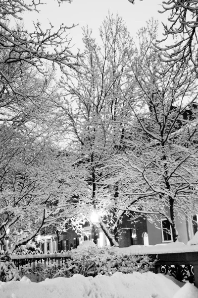 Stock Imagen Invierno Nevando Boston Massachusetts — Foto de Stock