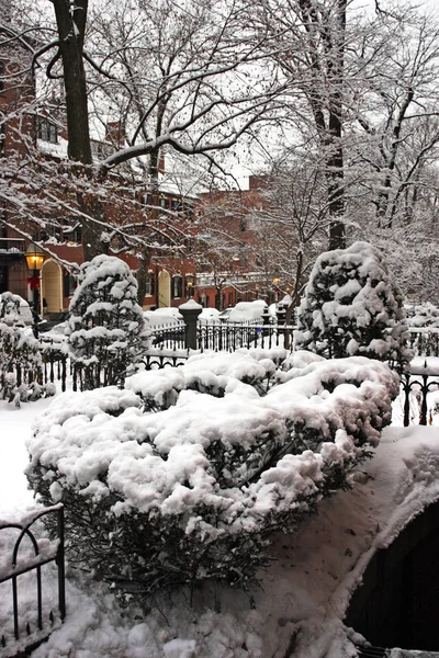 Тлі Сніжної Зими Бостоні Масонетті Уса — стокове фото