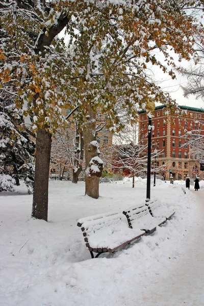 Склад Изображения Снежной Зимы Бостоне Штат Массачусетс Сша — стоковое фото